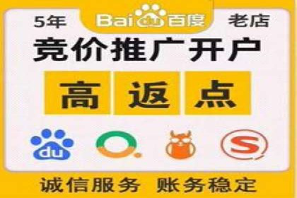 电商平台SEM推广的全过程解析